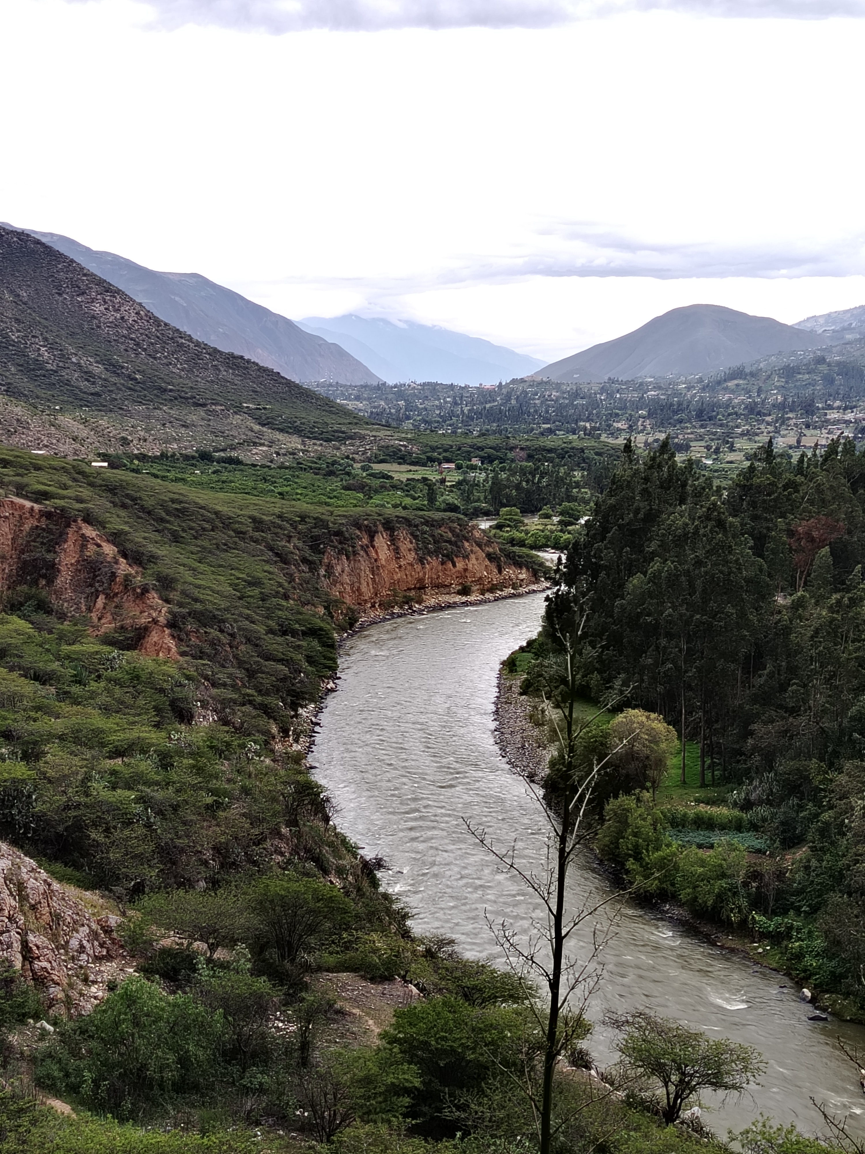 Muestras para evaluación de impacto ambiental